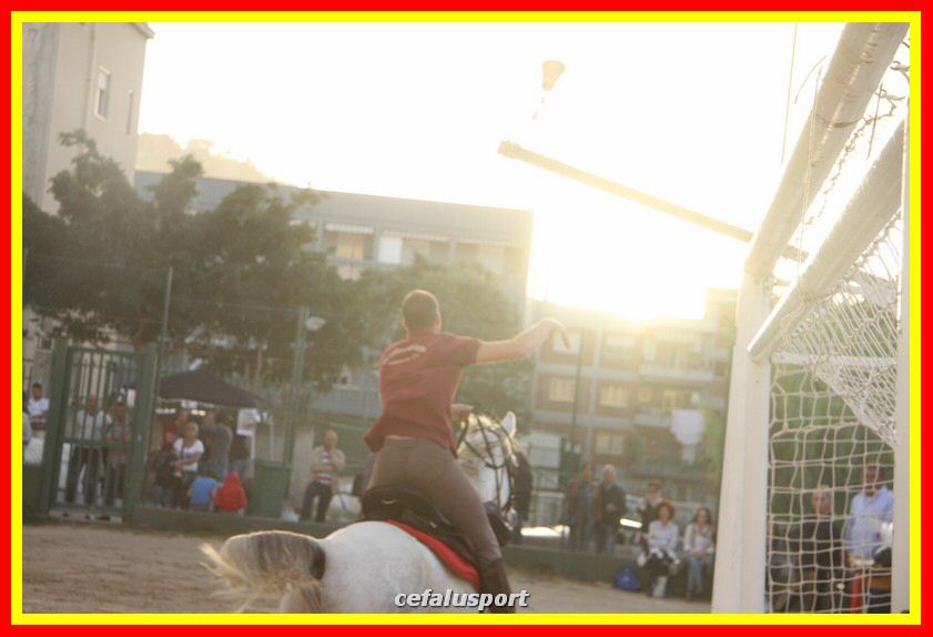 161106 equestre 030_tn.jpg